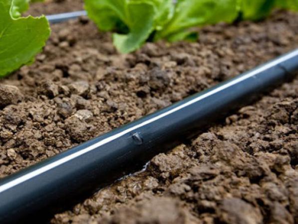 قیمت روز نوار تیپ درز وسط