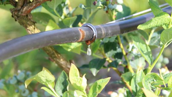 خرید انواع نوار تیپ درز وسط