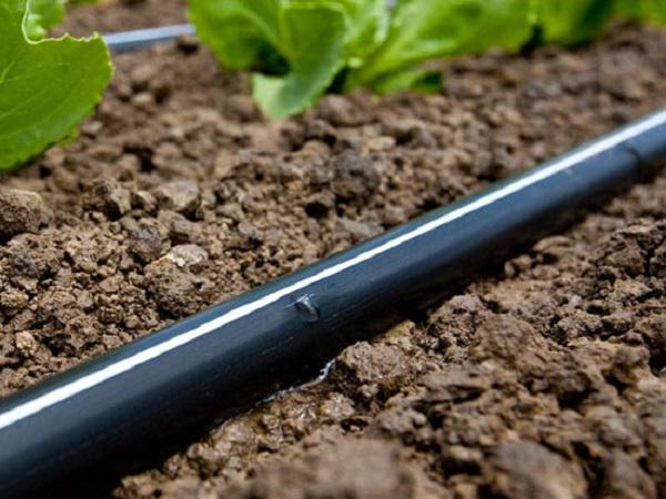 اطلاعاتی درباره نوار تیپ پی اف پی