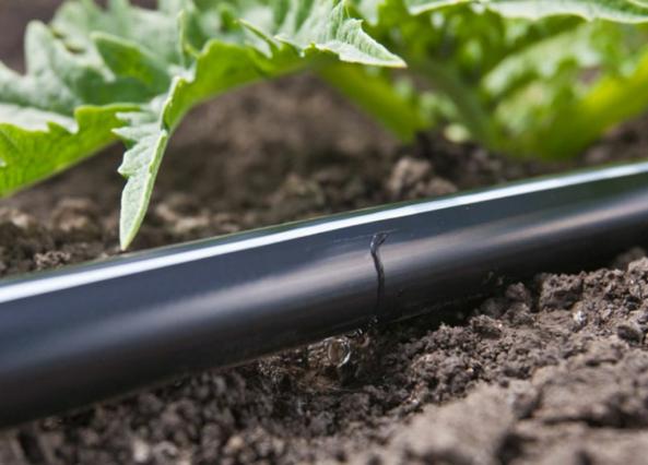 خرید انواع نوار تیپ ایرانی