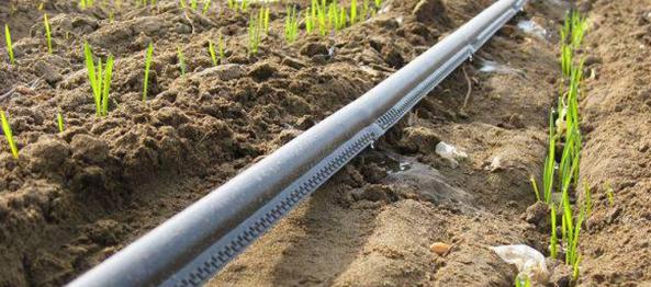 پخش انواع نوار تیپ آبیاری قطره ای ساده