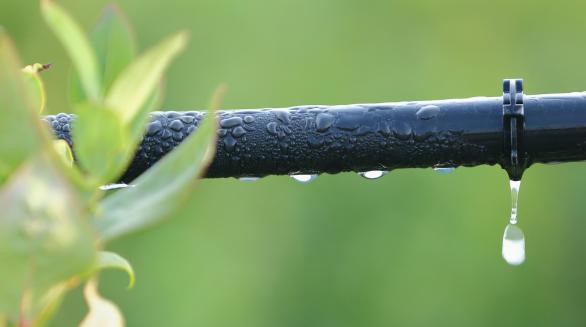 صادرات کلی نوار تیپ آبیاری پی وی سی