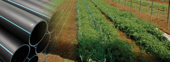 خرید بدون واسطه نوار تیپ آبیاری درزگیر