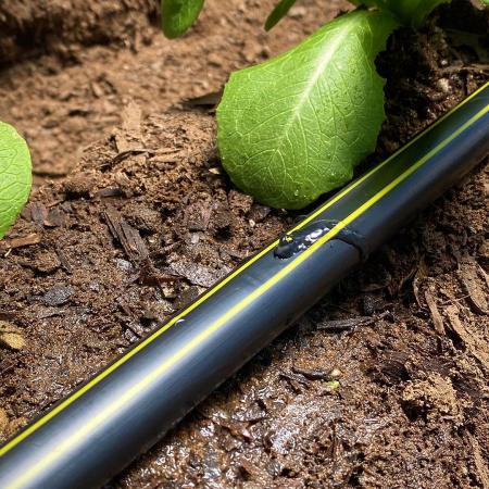 بازار فروش نوار تیپ آبیاری تی اف پی