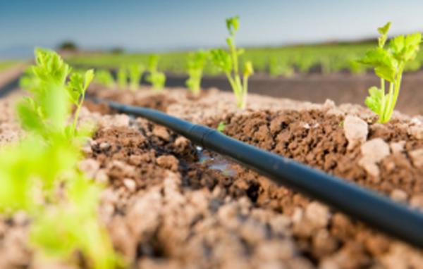 نوار آبیاری زیر سطحی چه ویژگی هایی دارد؟