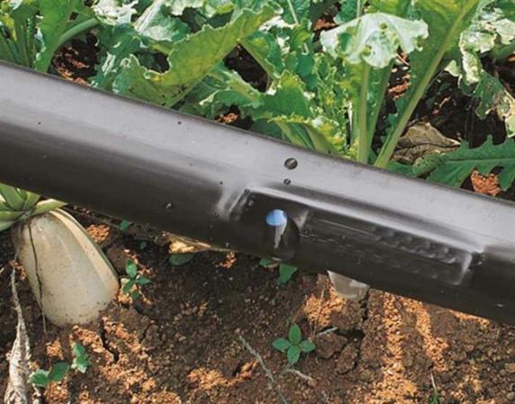 مراکز عرضه نوار تیپ آبیاری کرمان