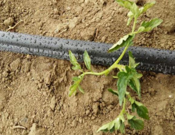 قیمت انواع نوار تیپ آبیاری ضایعاتی